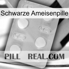 Black Ant Pill 24